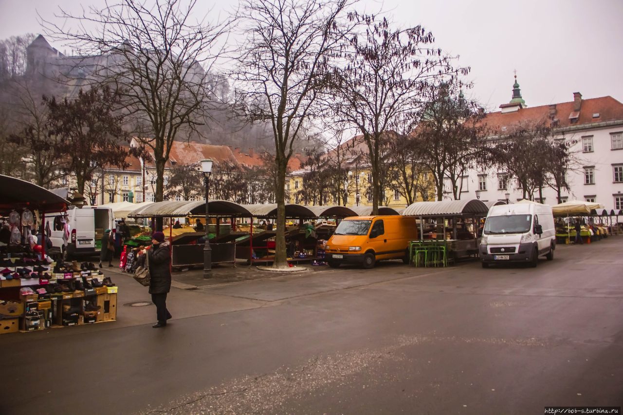 Рынок в самом центре горо