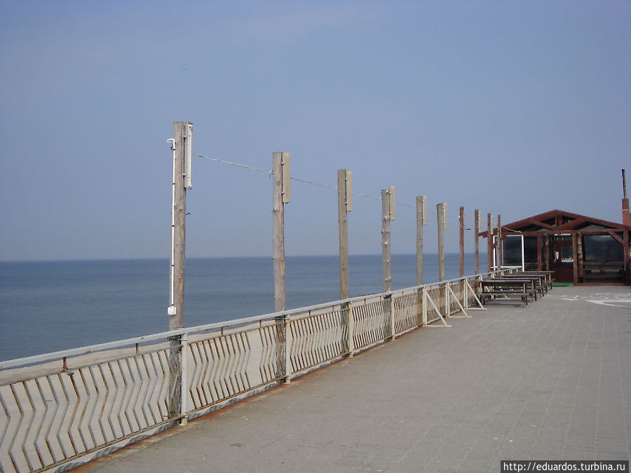 на Куршской косе на Куршской косе