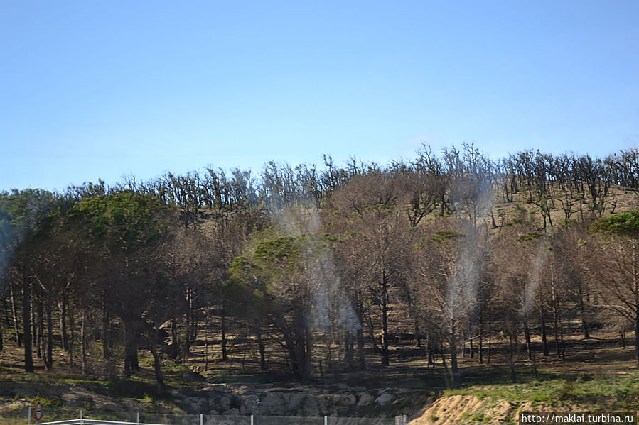 Пожары, пожары, пожары. Пожары, пожары, пожары.