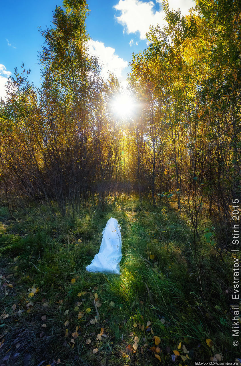 Луговой парк Петергоф, Россия