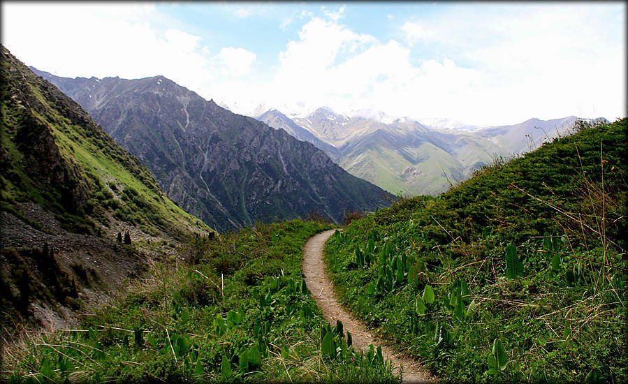 Экзотика ближних стран или первое знакомство с Киргизией Ала-Арча Национальный Парк, Киргизия