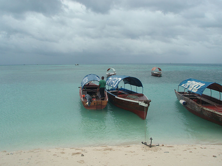 Призон. Остров гигантских черепах Остров Призон, Танзания Призон. Остров гигантских черепах Остров Призон, Танзания