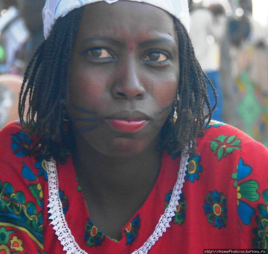 Первое знакомство с камерунскими фульбе Гоп, Камерун