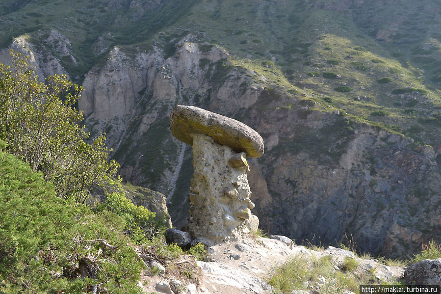 А это, кажется, — белый! Республика Алтай, Россия А это, кажется, — белый! Республика Алтай, Россия