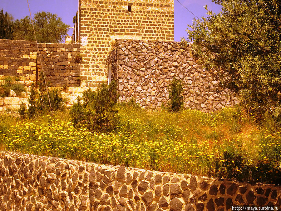 Пелла Провинция Ирбид, Иордания Пелла Провинция Ирбид, Иордания