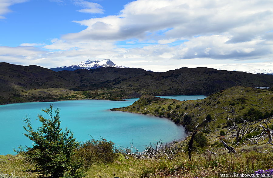 Одно из озёр во всемирно известном Национальном парке Торрес-дель-Пайне Чили