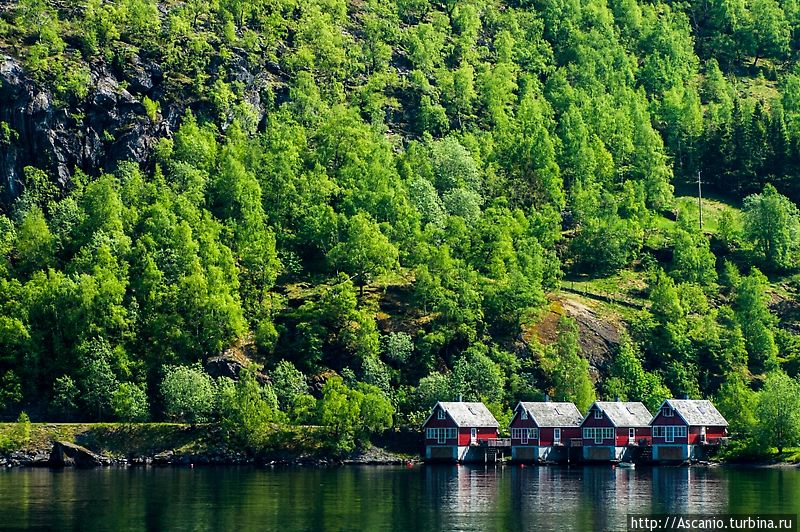 Флом и Фломсбана Флом, Норвегия Флом и Фломсбана Флом, Норвегия