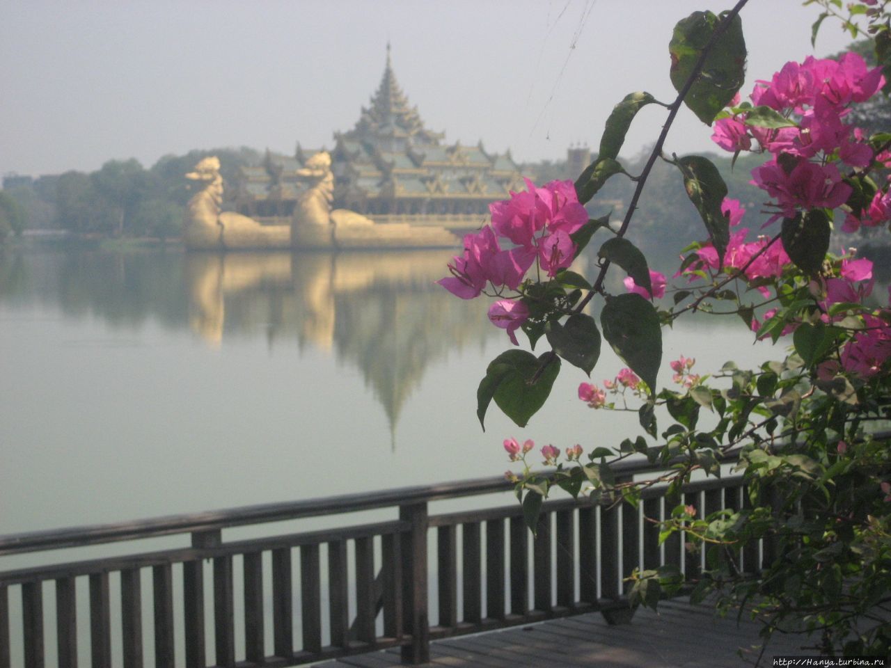 Озеро Kandawgyi Lake в Ян