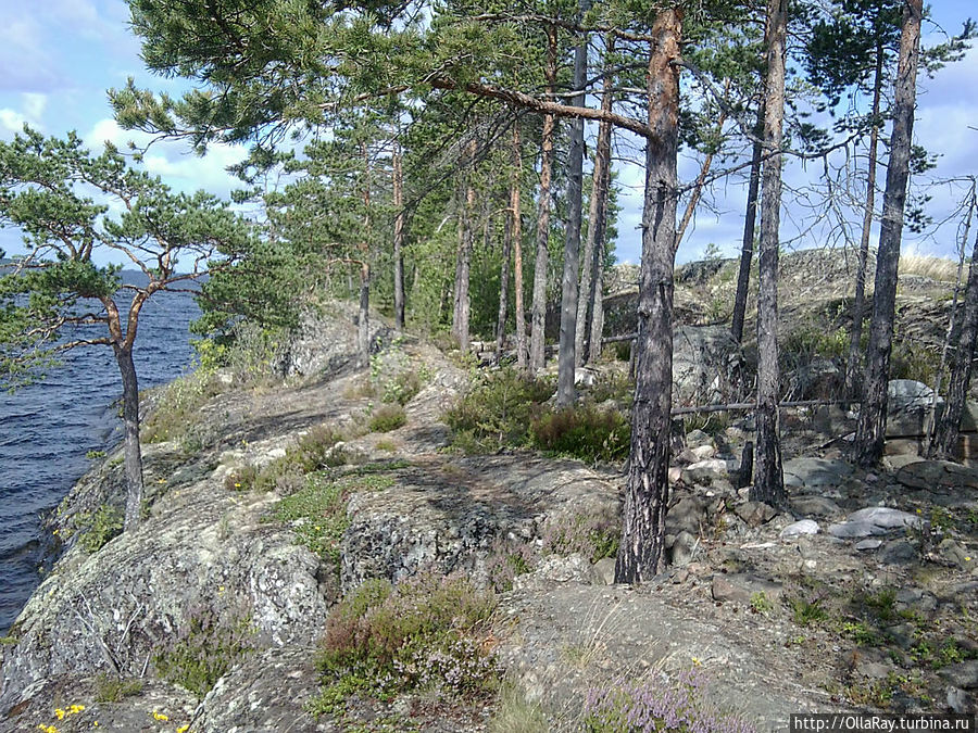 Выходные на Суйсари (в соавторстве с братом) Суйсарь, Россия