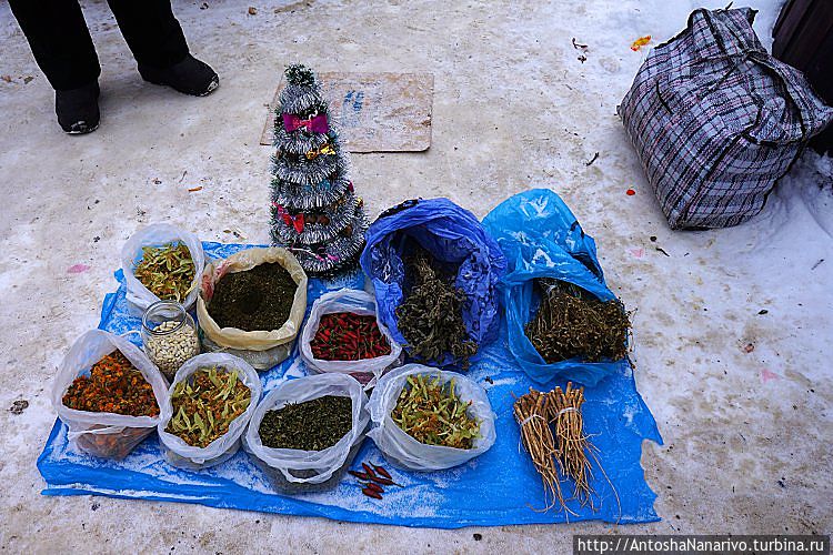 Гуцульские травы и специи Гуцульские травы и специи