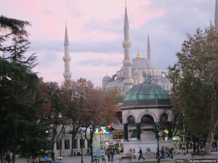 На обратном пути из Стамбула... На обратном пути из Стамбула...