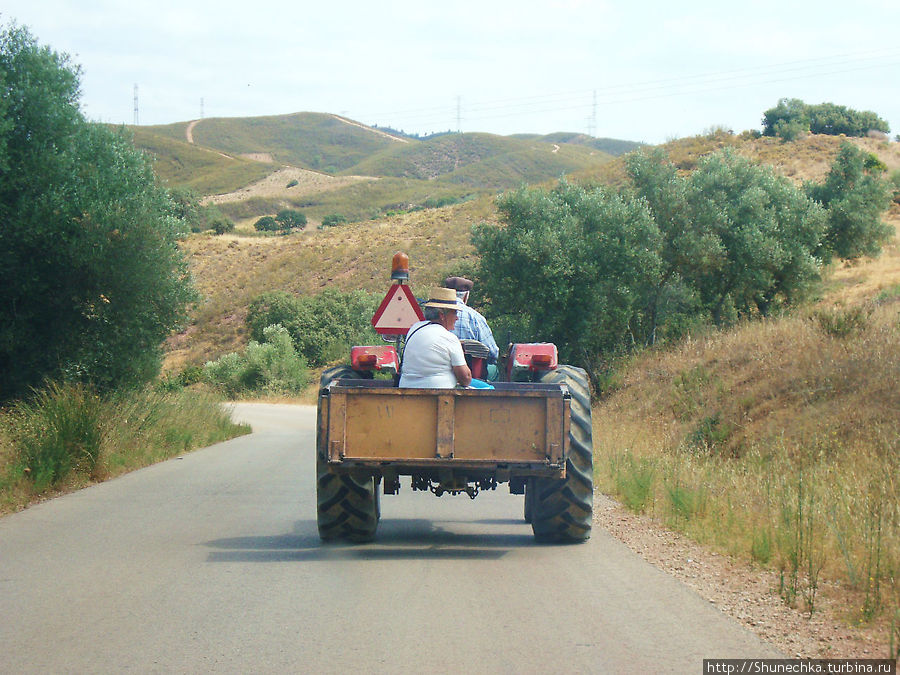 Традиционный транспорт Силвеш, Португалия