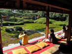 Большой сад для созерцания в одном из традиционных чайных домиков в Киото.