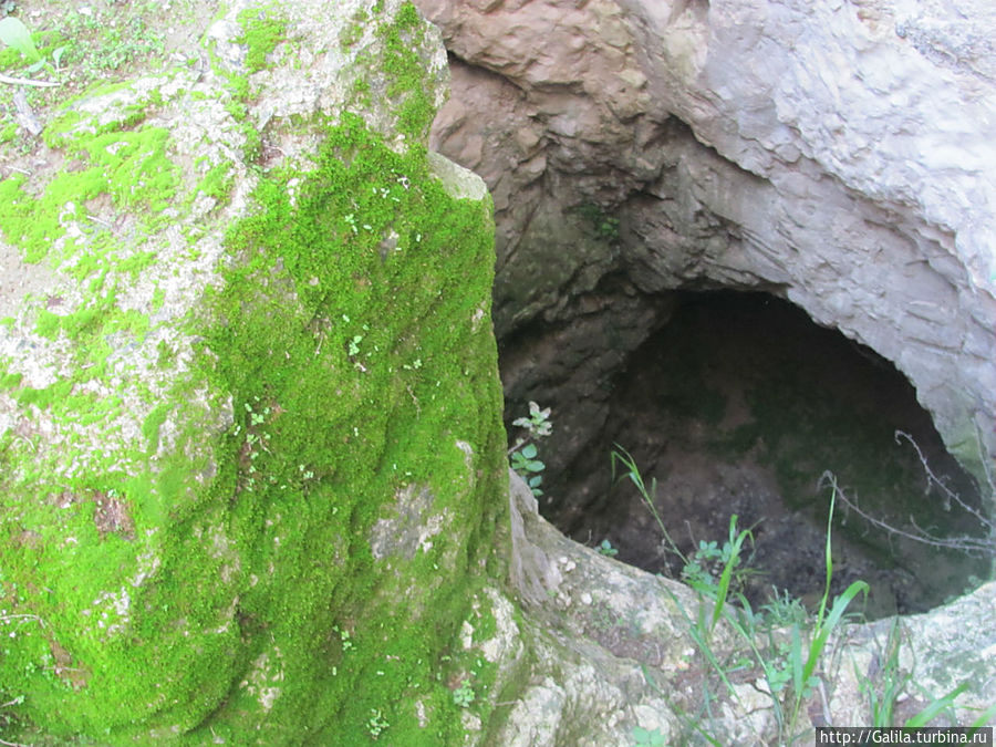 Колодец во дворе. Колодец во дворе.