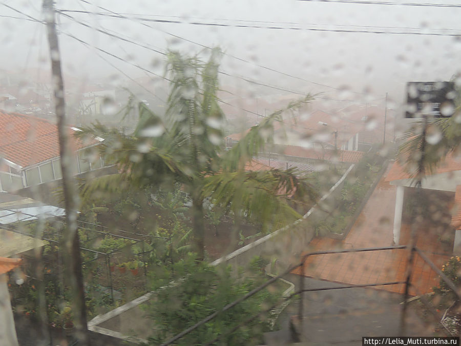 Плачущий Фуншал. Фуншал, Португалия Плачущий Фуншал. Фуншал, Португалия
