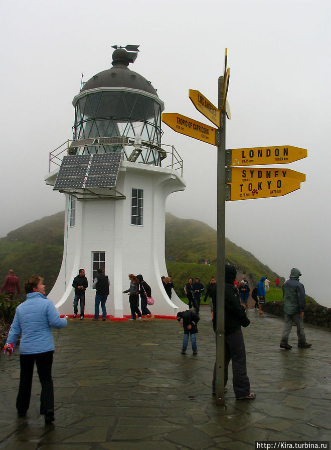 Cape Reinga Cape Reinga
