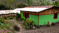 Типичный дом папуасов дани в предместье Вамены