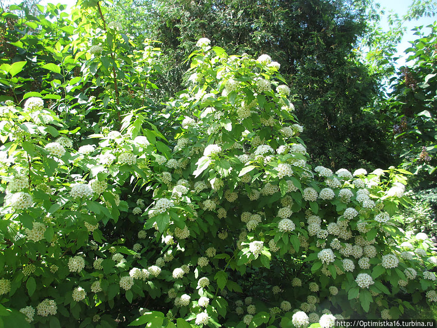 К Матронушке с благодарностью Москва, Россия К Матронушке с благодарностью Москва, Россия