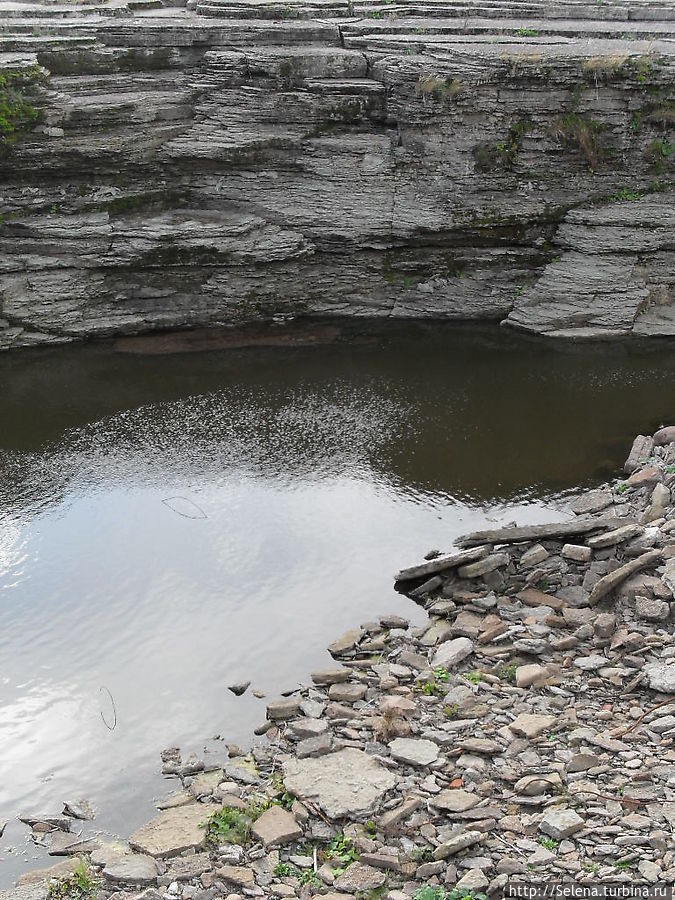 Нарова Нарова