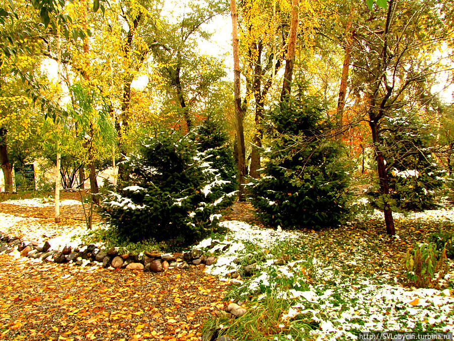 На горе Кок-Тобе На горе Кок-Тобе