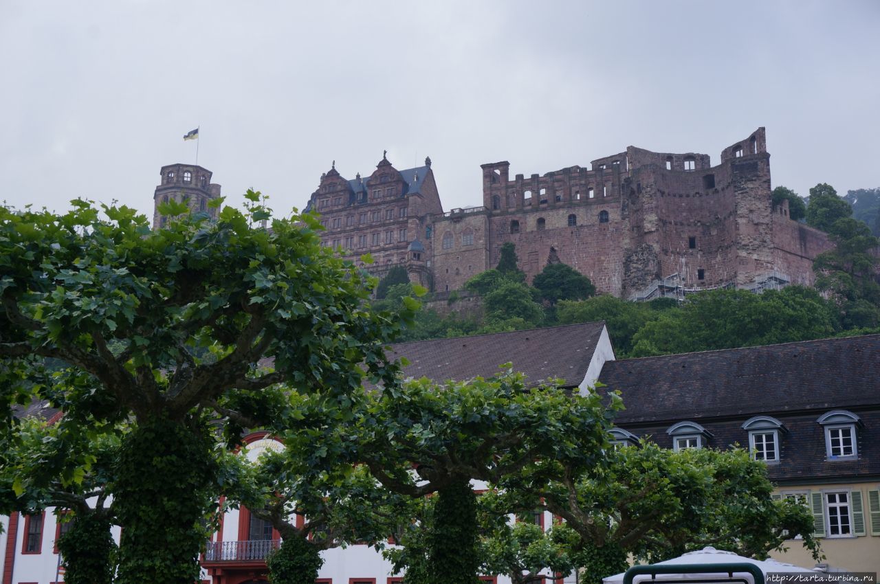 Гейдельбергский замок / Heidelberg Castle