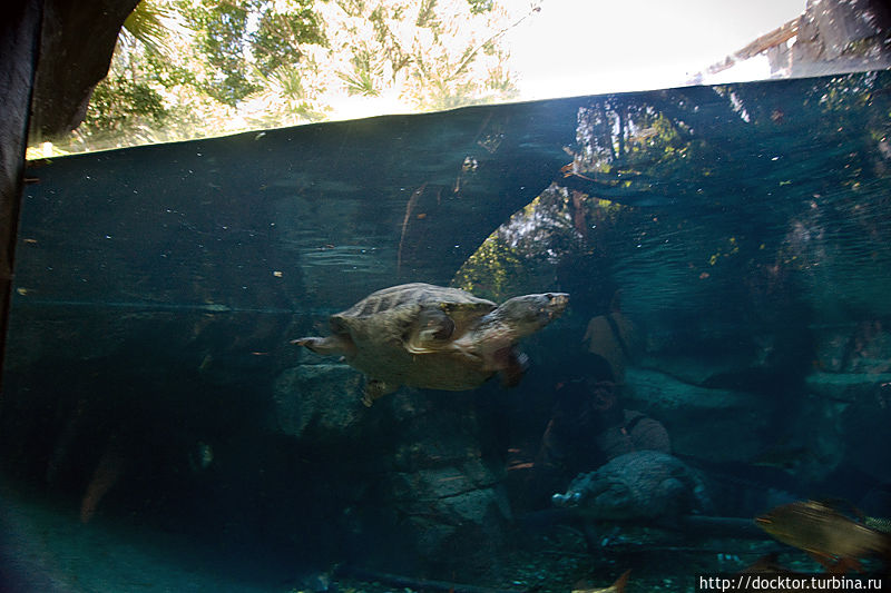 В Биопарке В Биопарке