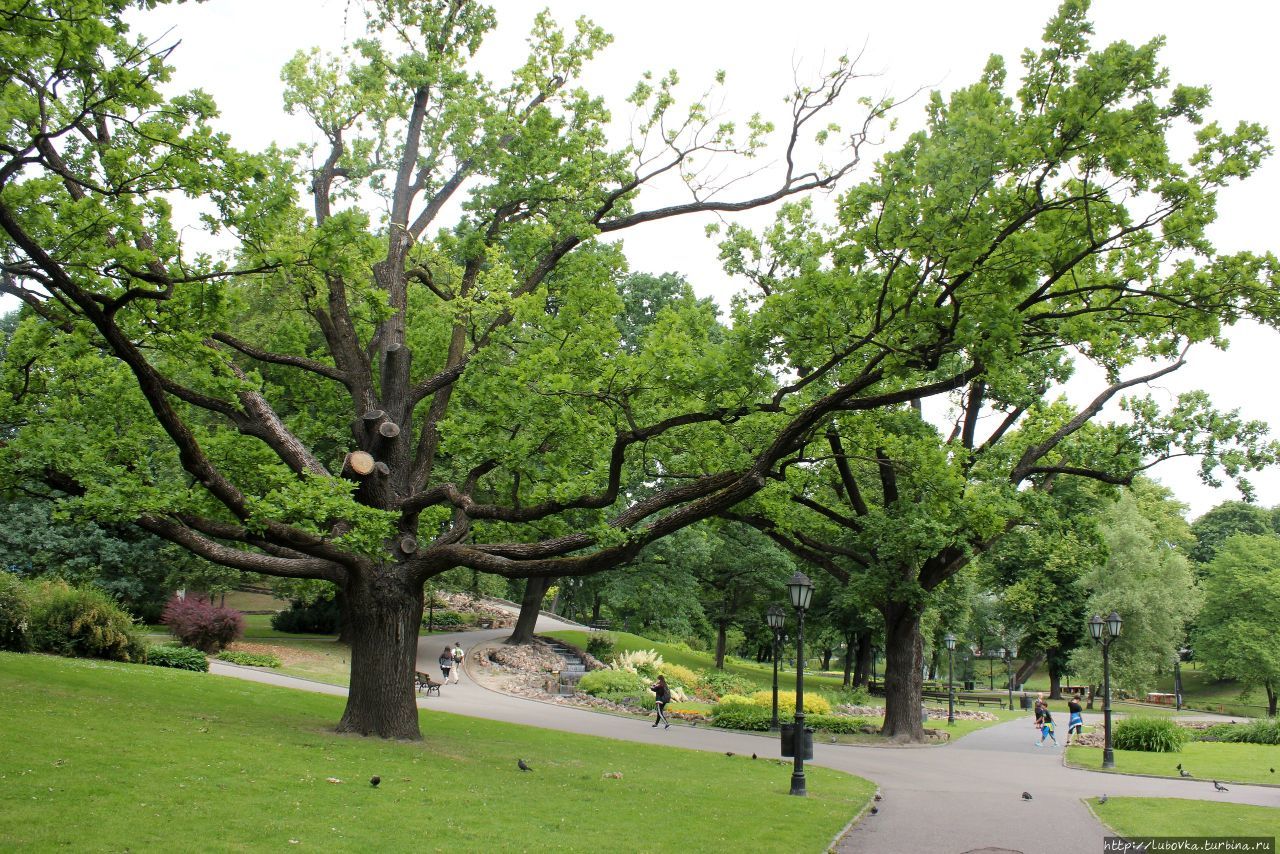 Зелёное сердце Риги Рига, Латвия Зелёное сердце Риги Рига, Латвия