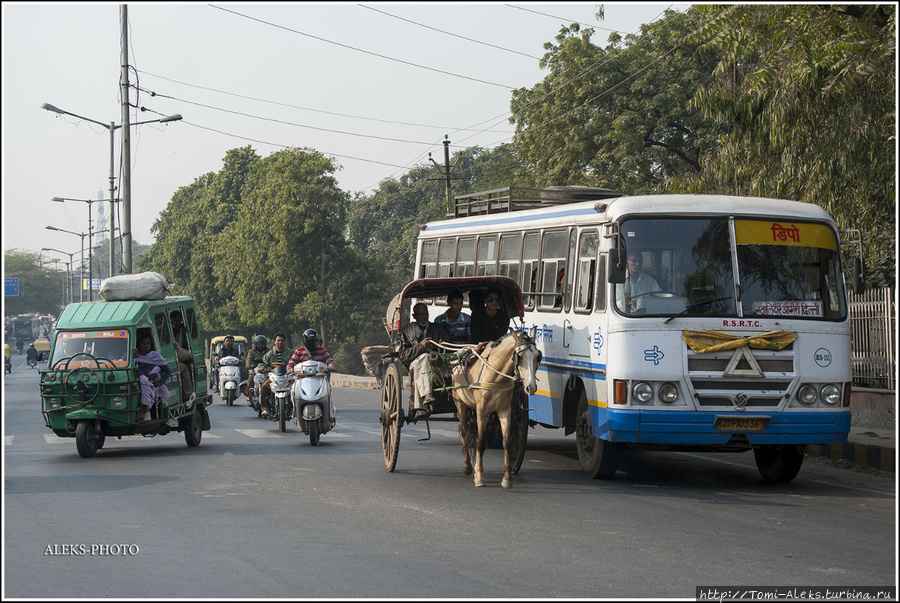 В этот кадр влезли почти все транспортные средства Агры. Тут не хватает только велорикши и телеги, запряженной каким-нибудь мулом. Мотоциклов, кстати, в Индии совсем мало, по сравнению с Вьетнамом, где, в свою очередь, вы практически не увидите тук-туков... Агра, Индия