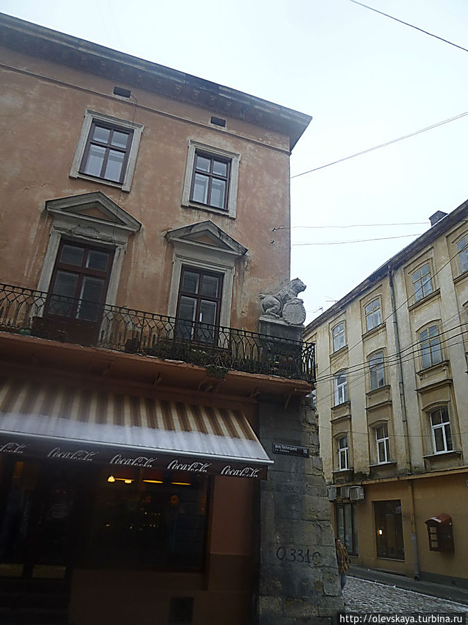 Львовские львы Львов, Украина Львовские львы Львов, Украина