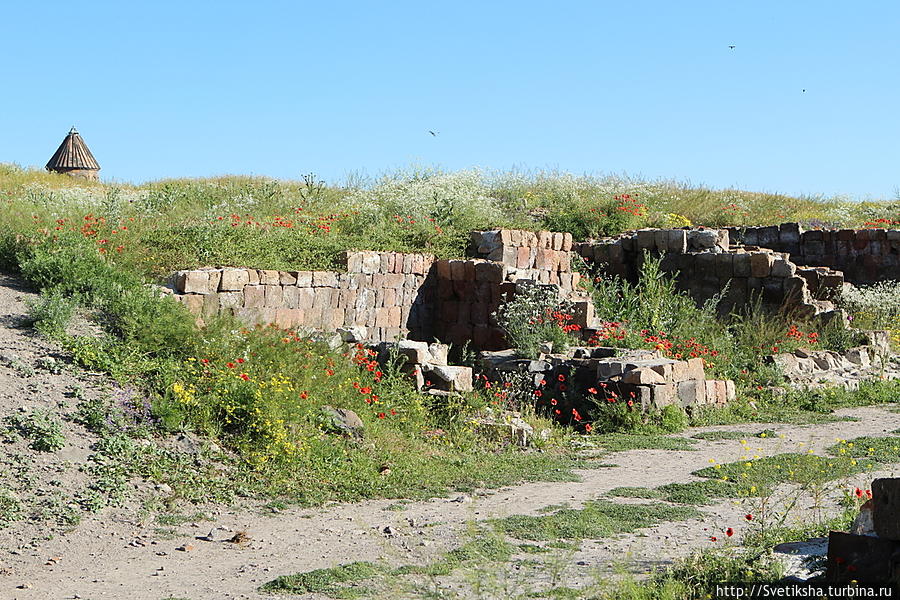 Древняя столица Армении на грани исчезновения Ани, Турция