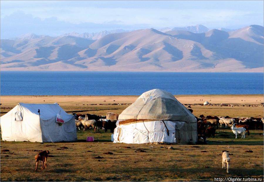 Сон-Куль наяву Озеро Сон-Куль, Киргизия