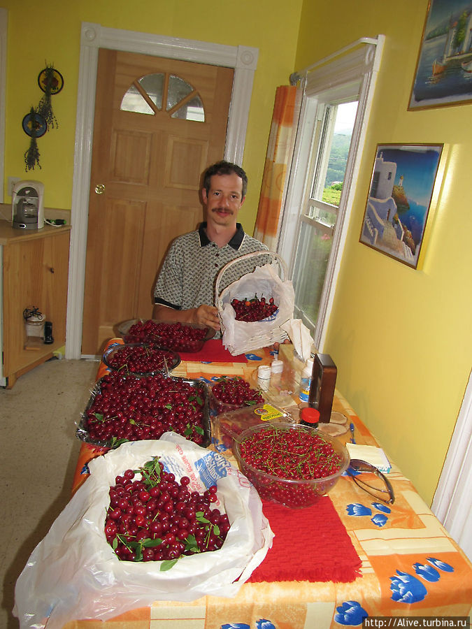 Черничный рай Беннингтон, CША Черничный рай Беннингтон, CША