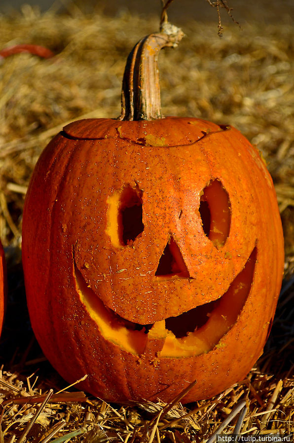 Столица Хэллоуина Анока, CША Столица Хэллоуина Анока, CША