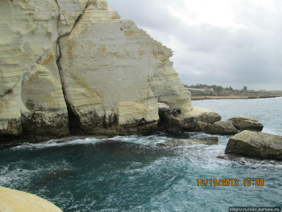 Слоновья нога.... Кфар-Рош-Ханикра, Израиль Слоновья нога.... Кфар-Рош-Ханикра, Израиль