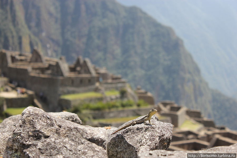Настоящее название этого города до сих пор не известно Перу Настоящее название этого города до сих пор не известно Перу