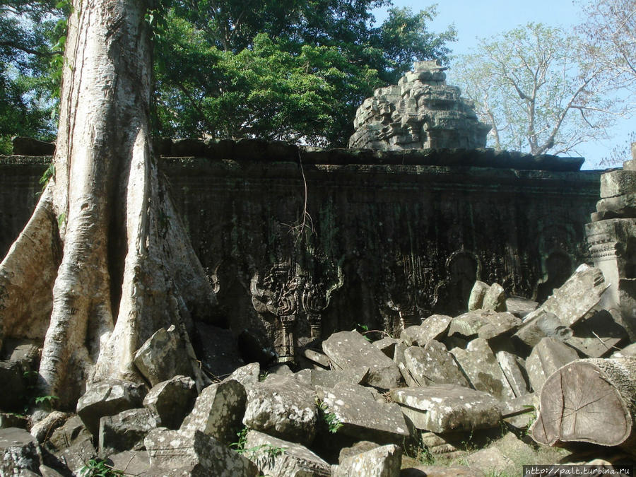 11. Наверное в пустых нишах орнамента в оригинале было нечто буддийское (скульптуры или тексты). Наверное тоже погибли в религиозной войне. Ангкор (столица государства кхмеров), Камбоджа