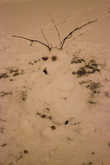 Снеговик финский