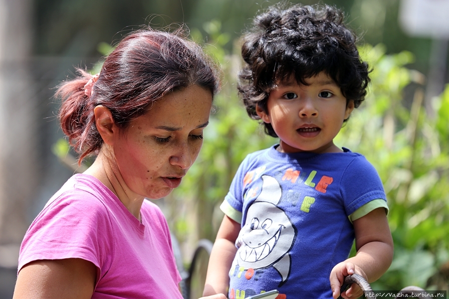 Зоопарк Лимы Лима, Перу Зоопарк Лимы Лима, Перу