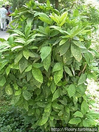 Снова индустриальный город. Снова ботсад Донецк, Украина Снова индустриальный город. Снова ботсад Донецк, Украина