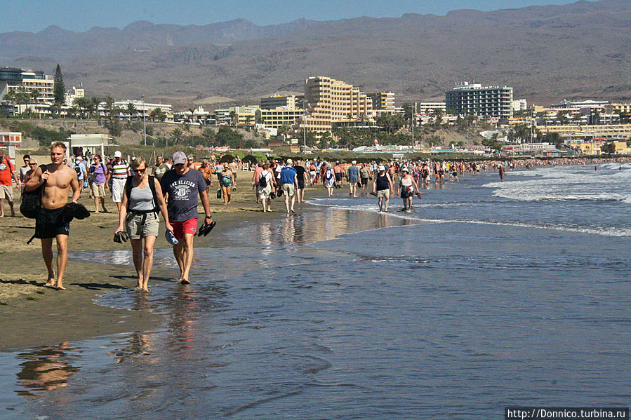 они проходят расстояние между Плайя де Инглес и Фаро де Маспаломас, по моим оценкам это километра 3-4 не меньше они проходят расстояние между Плайя де Инглес и Фаро де Маспаломас, по моим оценкам это километра 3-4 не меньше