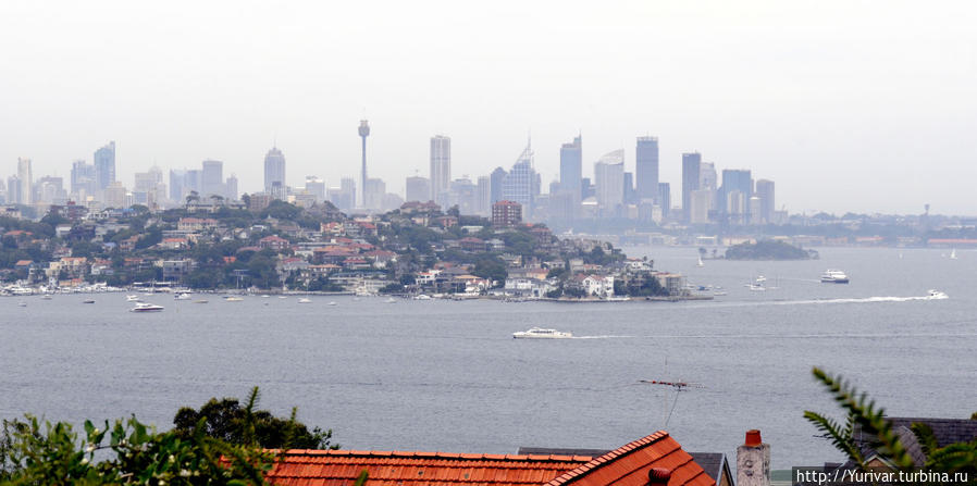 Вид на пригороды и центр города Сидней, Австралия