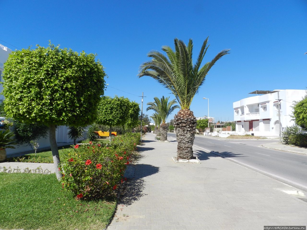 Хаммамет. Прогулка по старому городу Хаммамет, Тунис Хаммамет. Прогулка по старому городу Хаммамет, Тунис