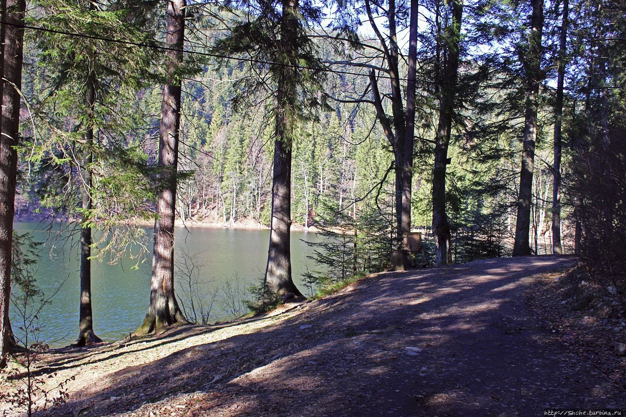 Озеро Синевир Синевир Национальный Парк, Украина