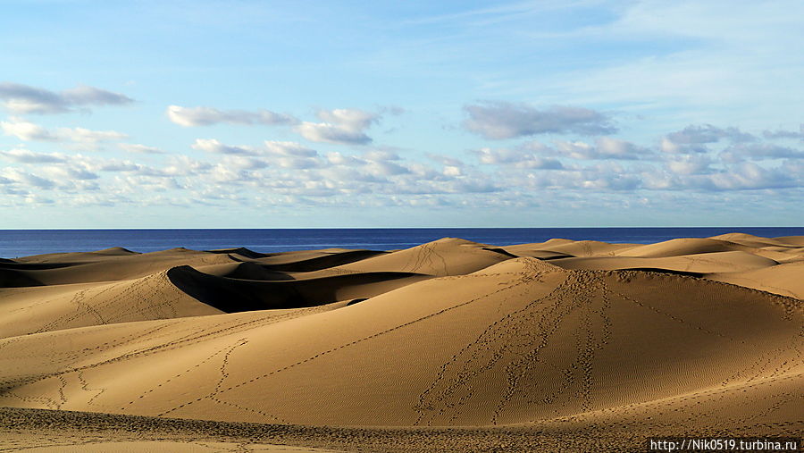 Именно от этих дюн — безусловно самой главной достопримечательности острова — начинается экскурсия с юга на север. Остров Гран-Канария, Испания