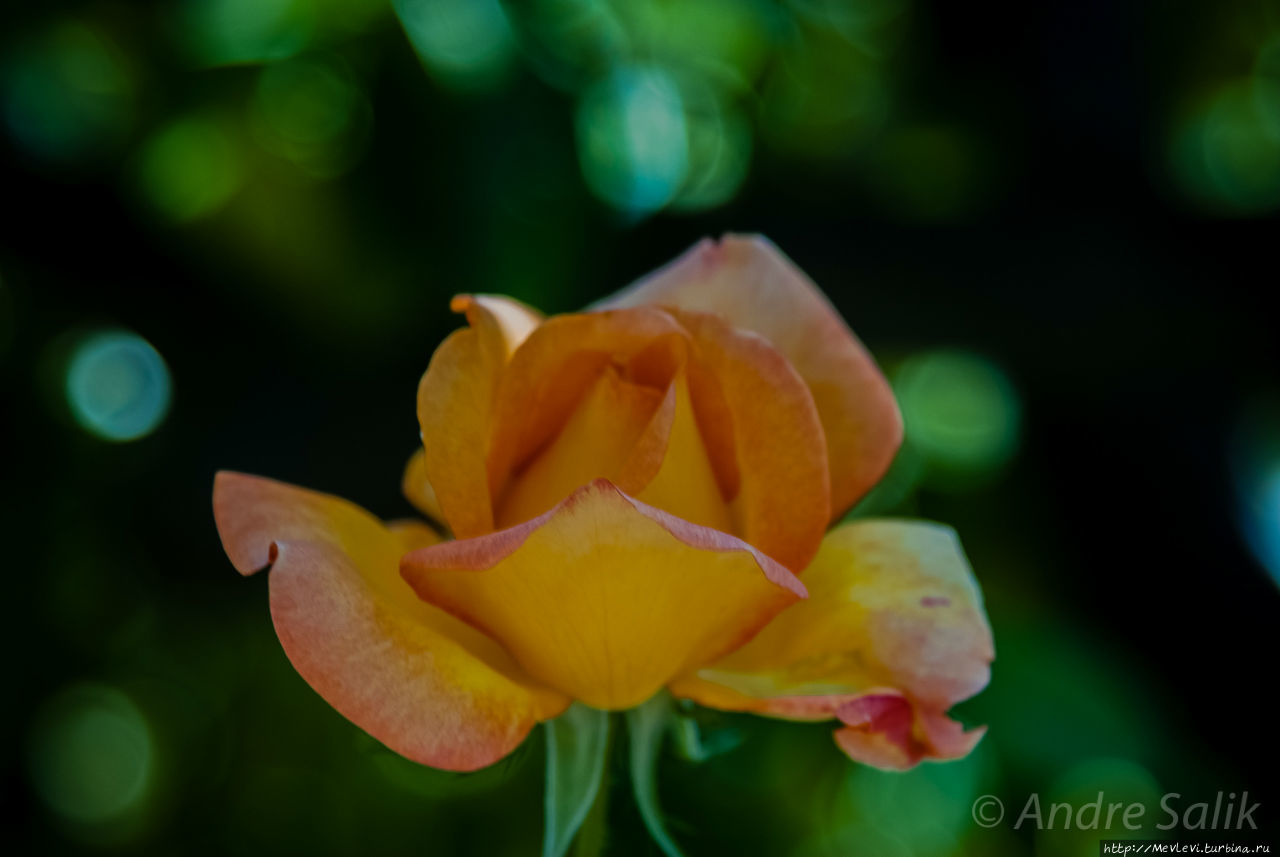 Прогулка в саду Хенералифе Альхамбра, Испания Прогулка в саду Хенералифе Альхамбра, Испания
