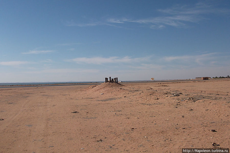Верблюд пустыни Вади-Хальфа, Судан
