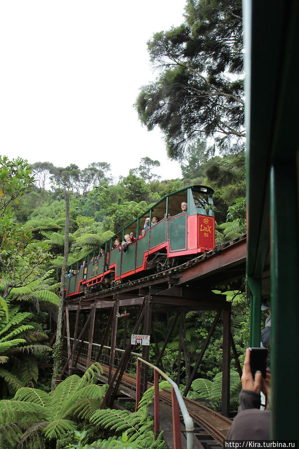 Driving Creek Railway Driving Creek Railway