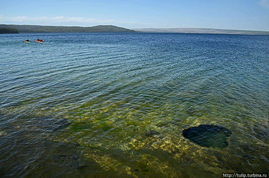 В глубине сердца мы всегда прощаем всё нашим любимым.
Сердце озера в парке Йеллоустоун. В глубине сердца мы всегда прощаем всё нашим любимым.
Сердце озера в парке Йеллоустоун.