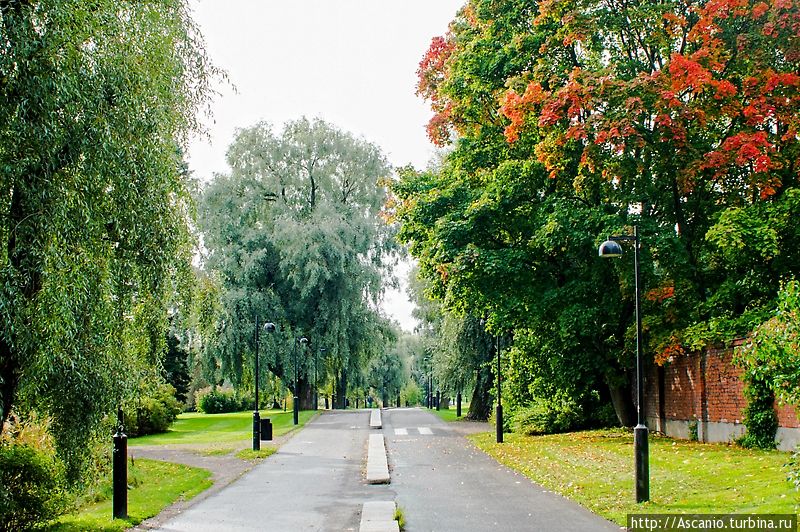 Прогулка по осеннему Хельсинки Хельсинки, Финляндия