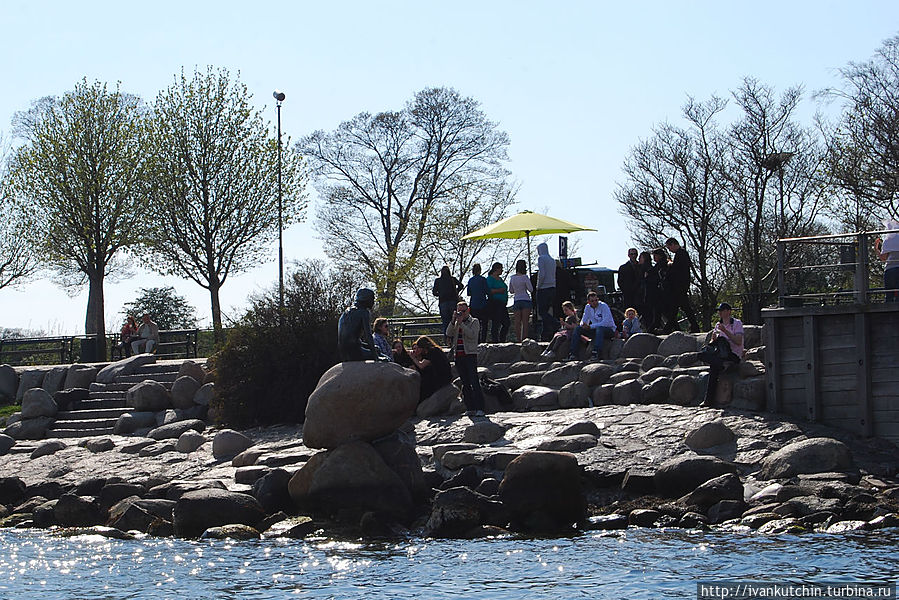 Русалочка с воды в окружении туристов Копенгаген, Дания